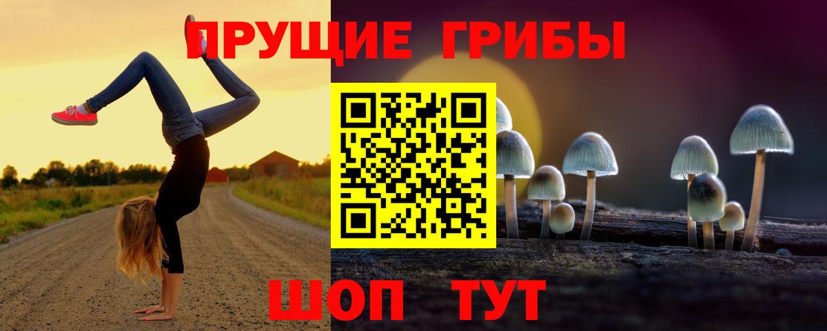 Нефтеюганск  Псилоцибиновые грибы мицелий  Вход с VPN 